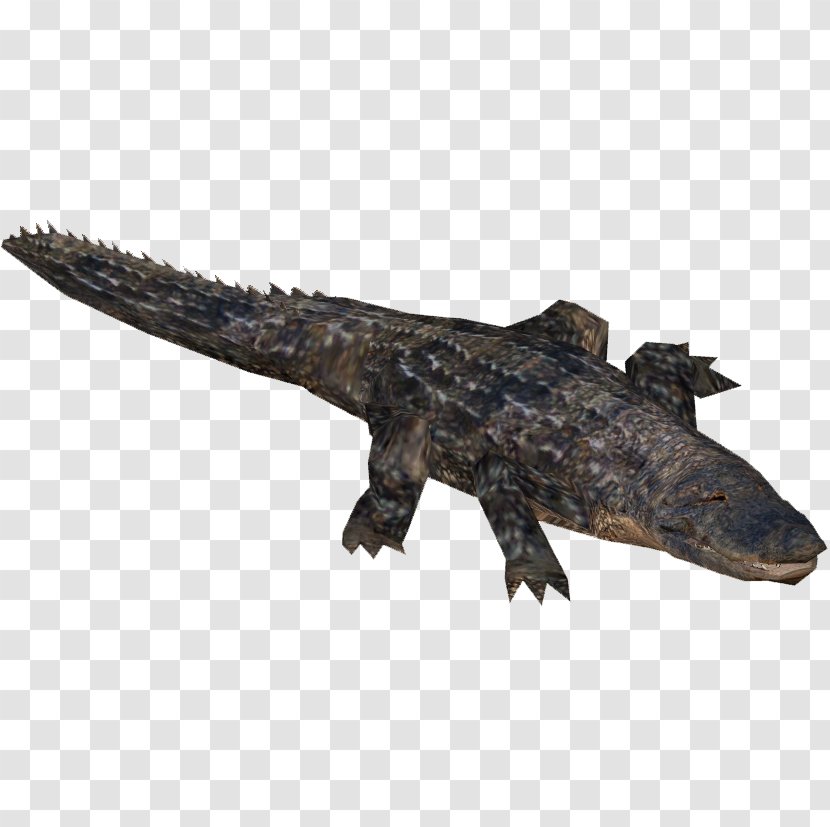 Zoo Tycoon 2 Far Cry 5 American Alligator Nile Crocodile Crocodiles - Open World Transparent PNG