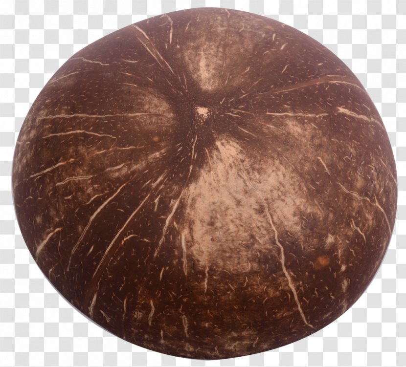 Copper Circle - Hand Painted Coconut Transparent PNG
