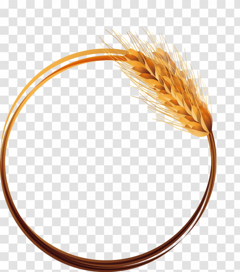 Wheat - Ifwe Transparent PNG