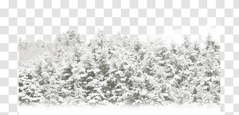 Car Amazon.com Winter Heater Defogger - Snow Transparent PNG