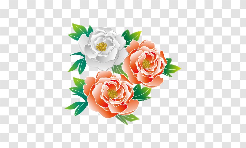 Peony. - Peach - Rose Family Transparent PNG