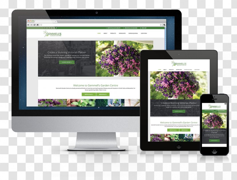 Web Design Page Transparent PNG