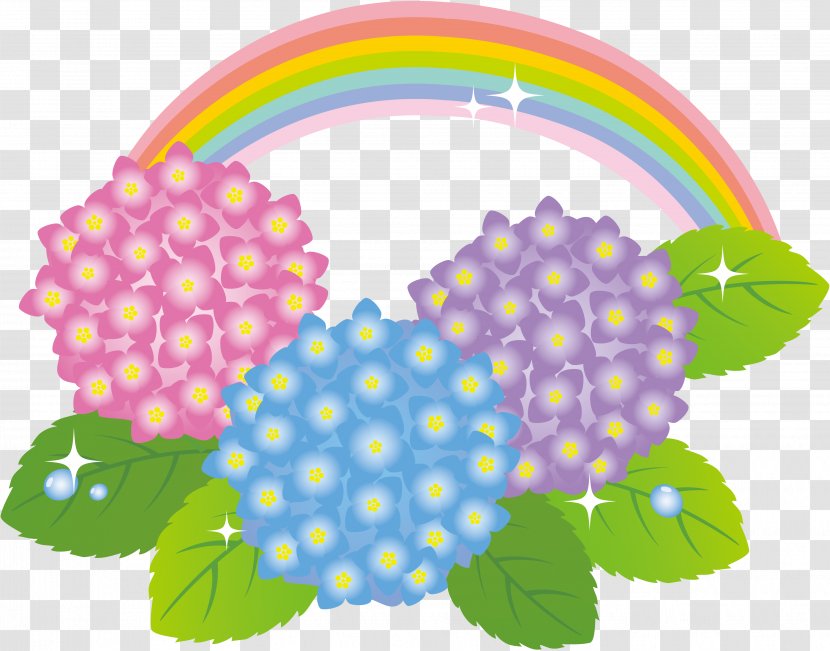 French Hydrangea May June 四日市市役所 海蔵地区市民センター Flower - SMALL STAR Transparent PNG
