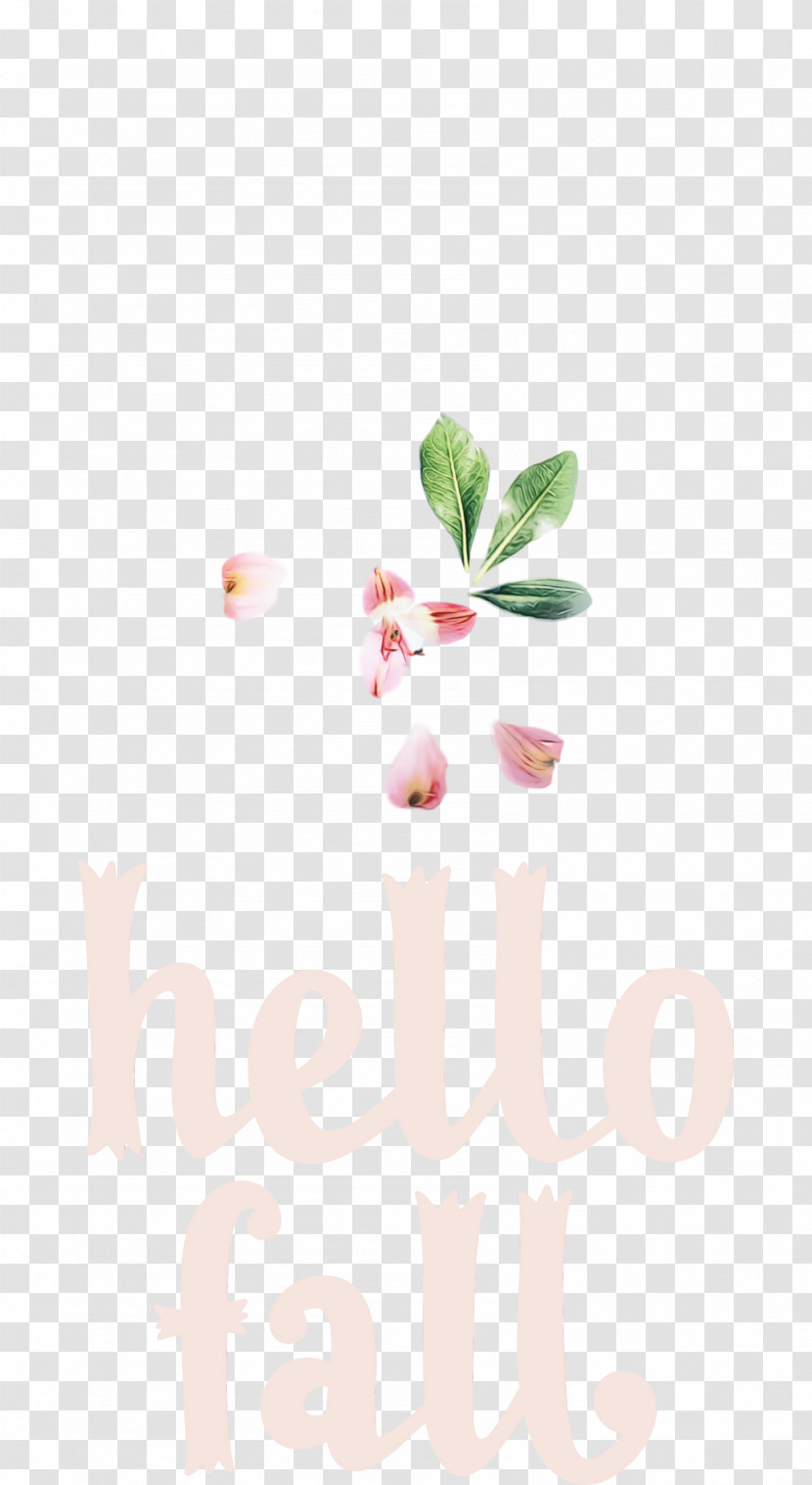 Floral Design Transparent PNG