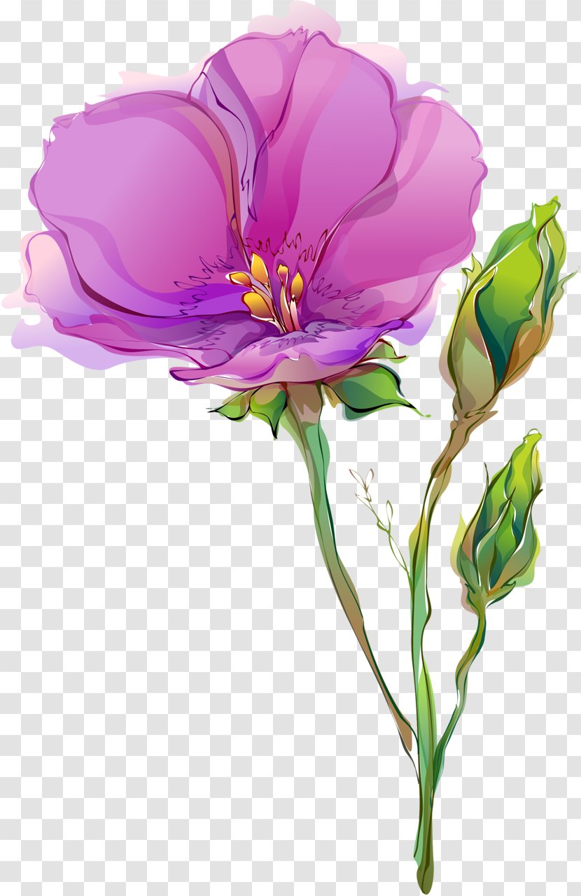 Cut Flowers Tulip Drawing Poppy - Floral Design - Spring Transparent PNG