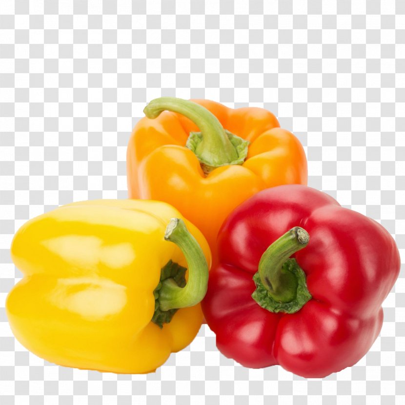 Bell Pepper Chili Vegetarian Cuisine Vegetable Food - Habanero Transparent PNG