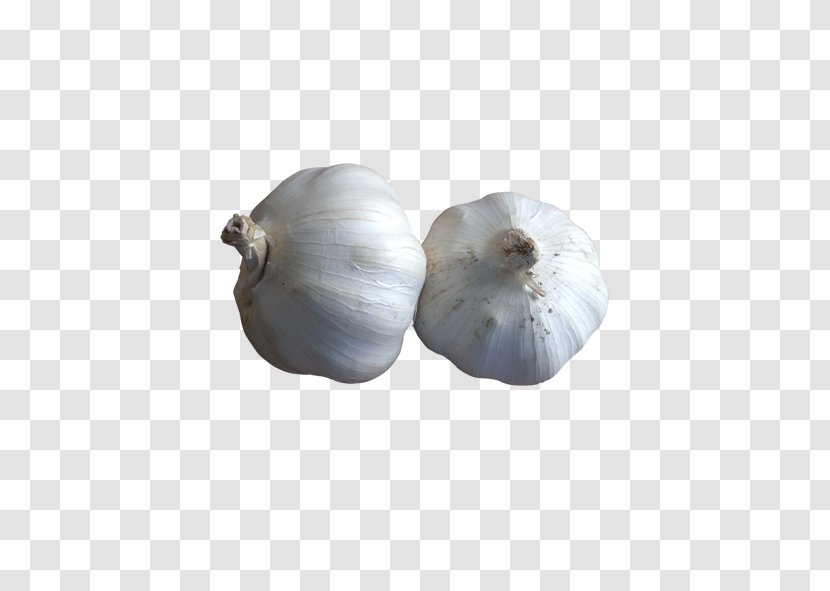 Garlic Food Dish Transparent PNG
