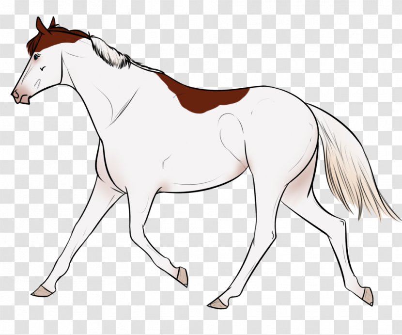 Foal Mane Stallion Mare Colt - Horse Like Mammal - Mustang Transparent PNG