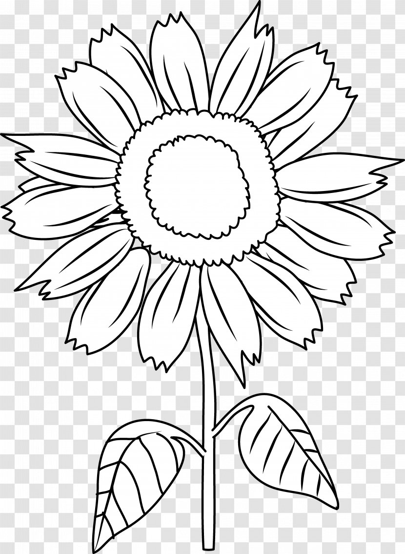 Black And White Clip Art - Plant Stem - Sunflower Cliparts Transparent PNG