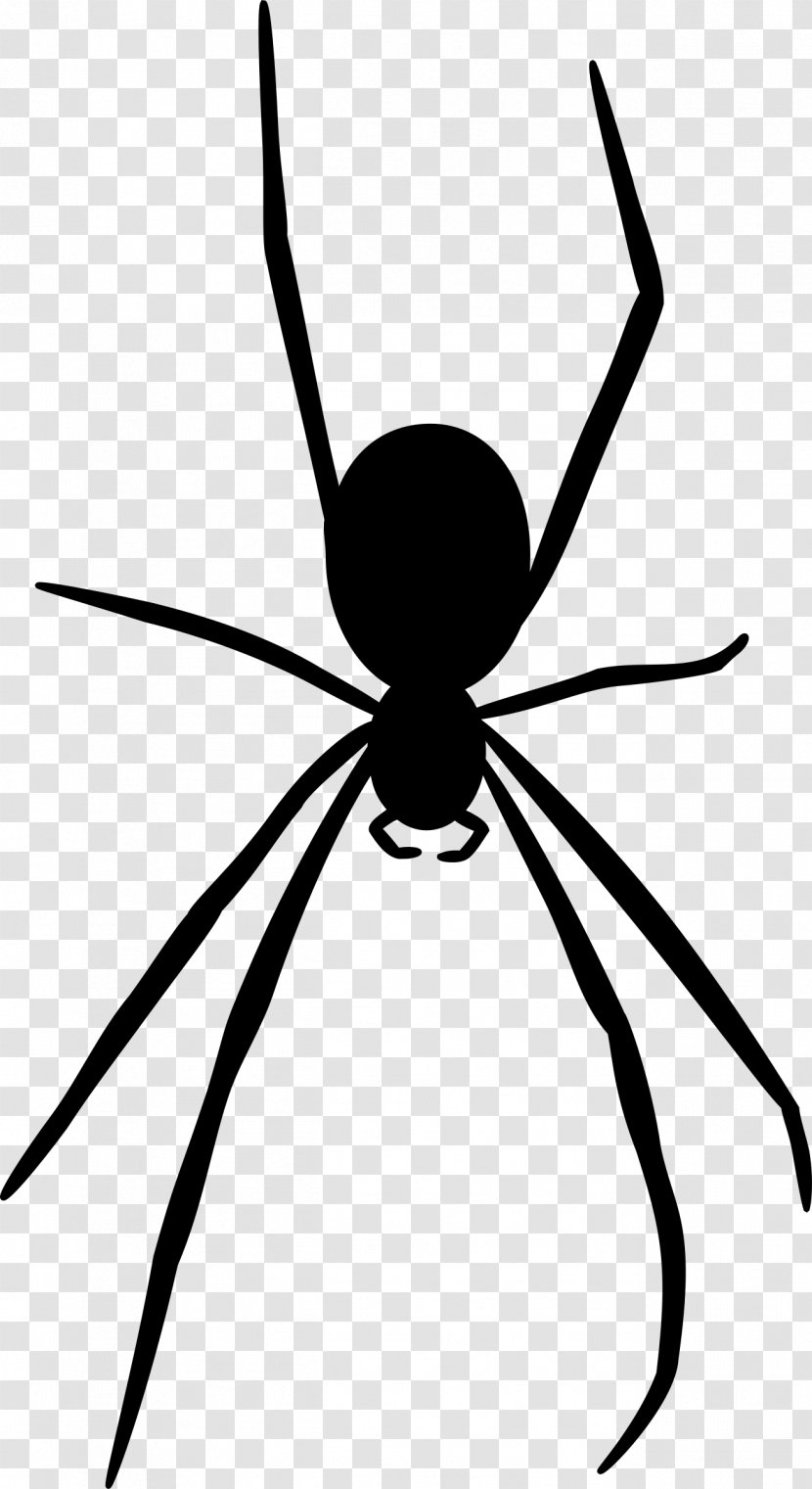 Spider Web Silhouette Clip Art - Arachnid Transparent PNG