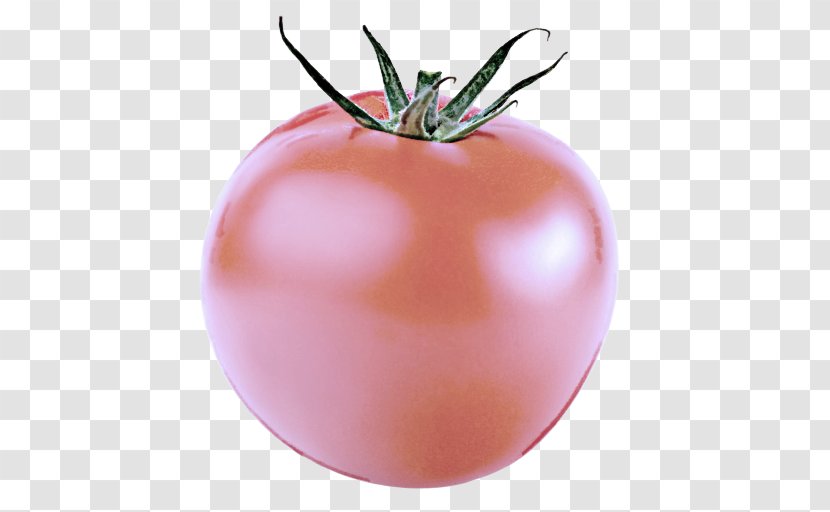 Tomato - Food - Nightshade Family Transparent PNG