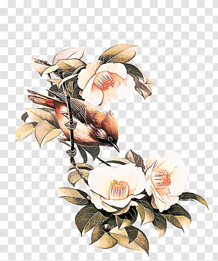 Drawing Of Family - Cut Flowers - Magnolia Petal Transparent PNG