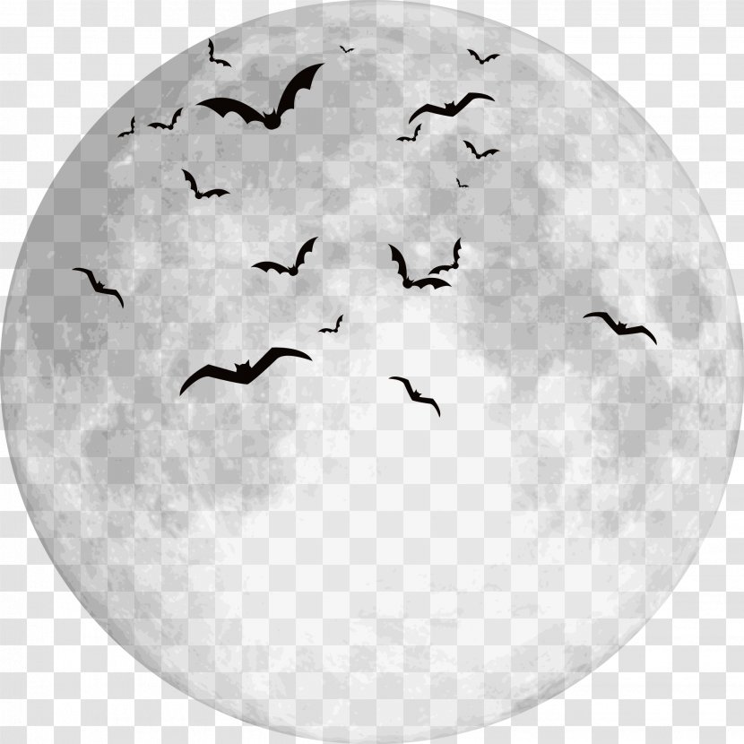 Halloween - Flock - Seabird Transparent PNG