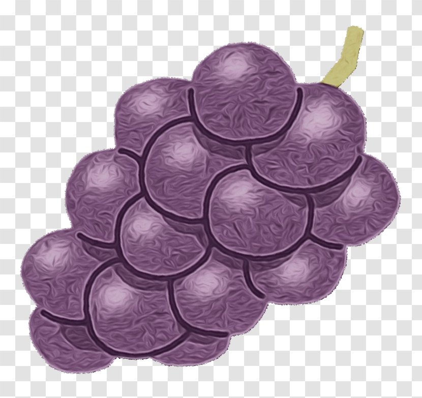 Grape Grapevine Family Purple Vitis Violet - Wet Ink - Seedless Fruit Plant Transparent PNG