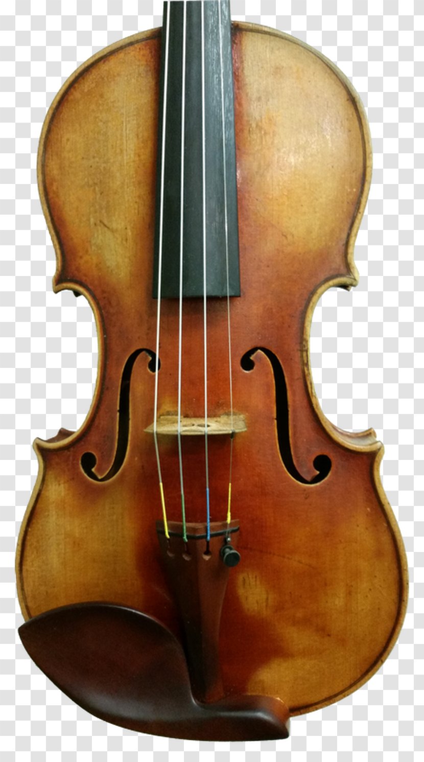 Bass Violin Violone Bowed String Instrument Cello - Instruments Transparent PNG