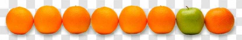 Commodity - Flower - Talking Apples Oranges Transparent PNG