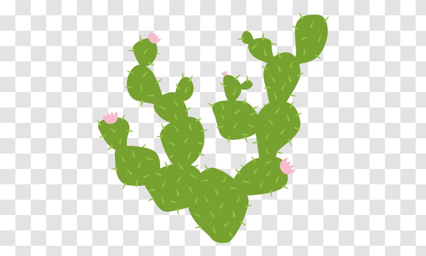 Wall Decal Sticker Cactaceae - Plant Stem - Cactus Flower Transparent PNG