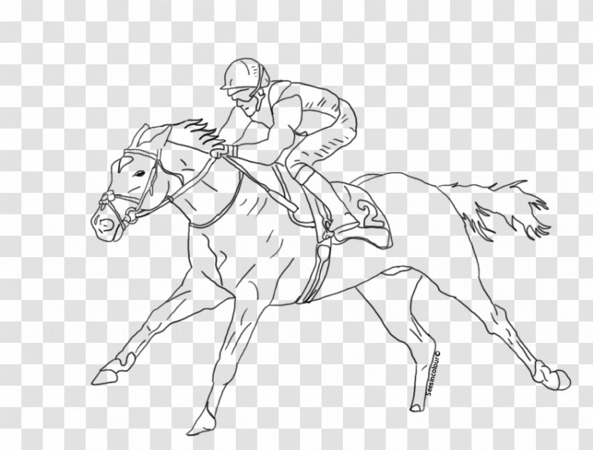 Thoroughbred Horse Racing Coloring Book Jockey - Race Transparent PNG