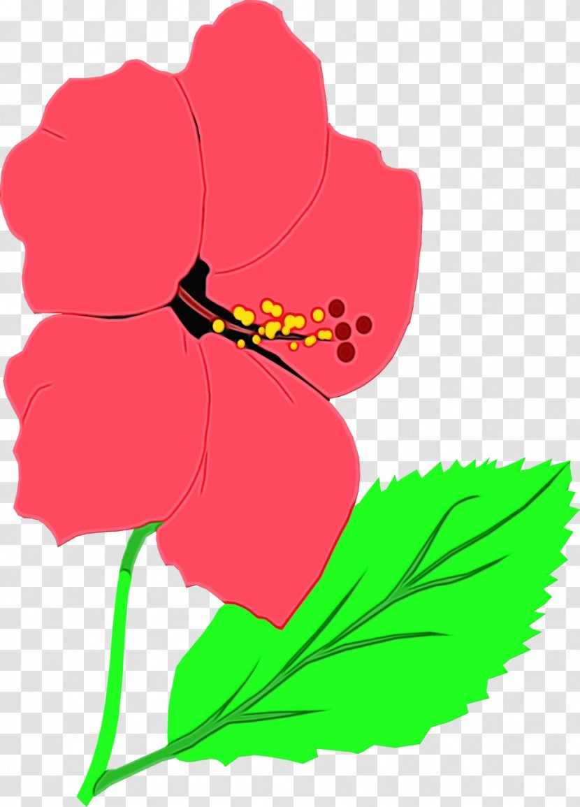 GIF Flower Animation Clip Art - Herbaceous Plant - Stock Photography Transparent PNG