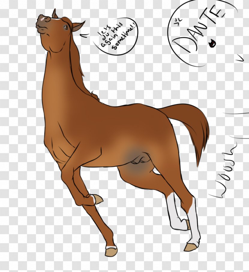 Mustang Foal Stallion Halter Camel - Silhouette - Gotta Blast Transparent PNG