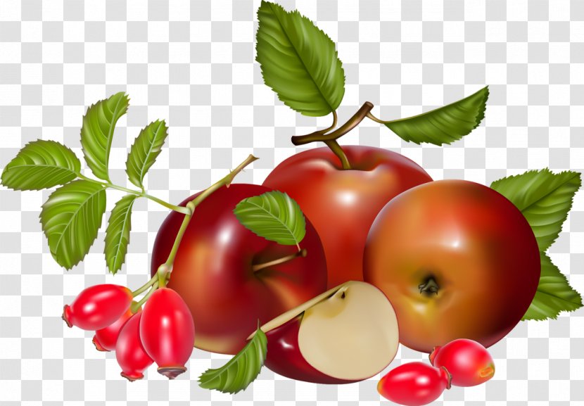 Food Barbados Cherry Berry Tomato - Plant Transparent PNG