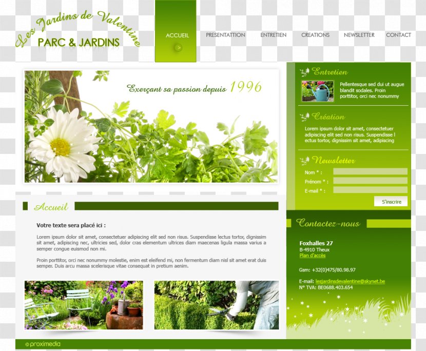 Herb Gardening: Grow Herbs For Healing And Cooking Flora Web Page Reference Work - Advertising - Layout Transparent PNG