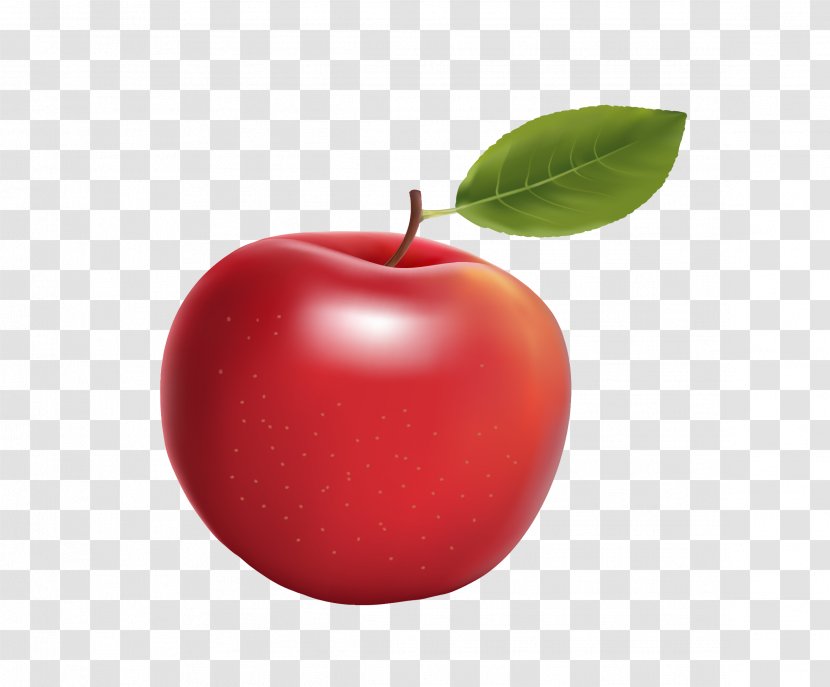 Red Big Apple - Natural Foods - Vector Realistic Transparent PNG
