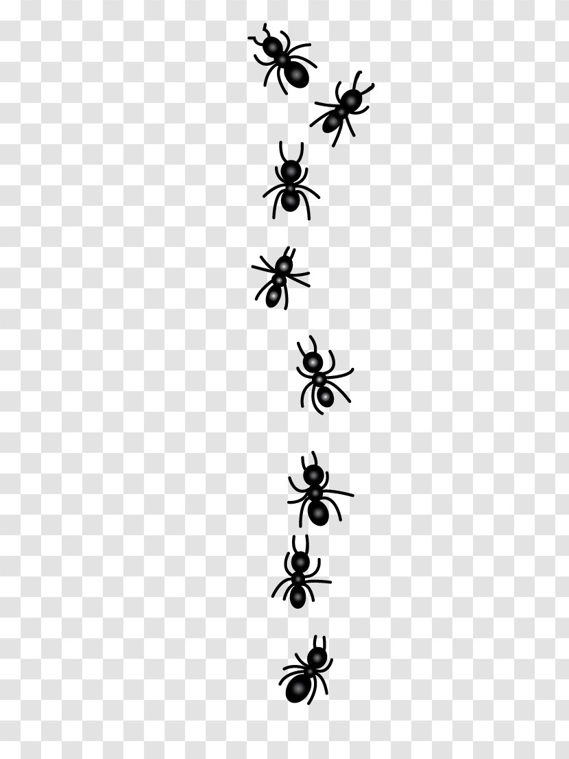 Clip Art Vector Graphics Ant Insect - Blackandwhite - Ears Transparent PNG
