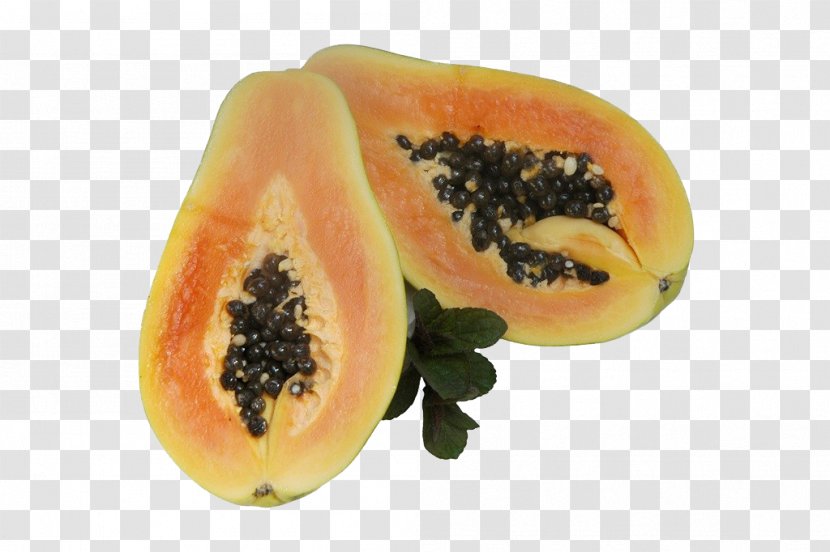 Papaya Fruit - Frame - Half Transparent PNG