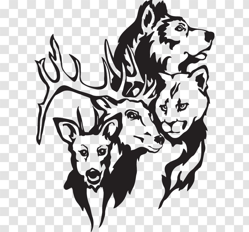 Cougar Deer Gray Wolf Wall Decal Sticker - Line Art Transparent PNG