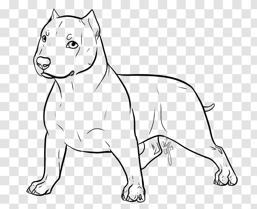 Dog Breed American Bully Pit Bull Terrier Puppy - Snout Transparent PNG