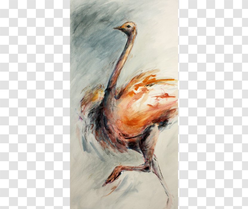 Chicken Watercolor Painting Pope Bird - As Food Transparent PNG