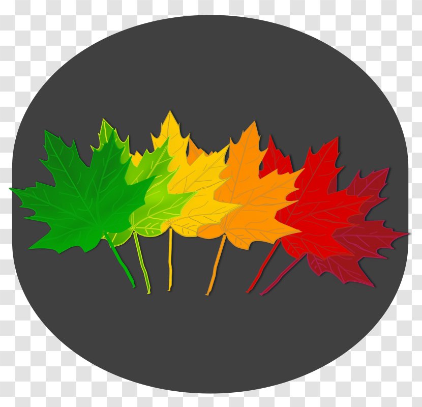 Leaf Autumn Clip Art - Tree Transparent PNG