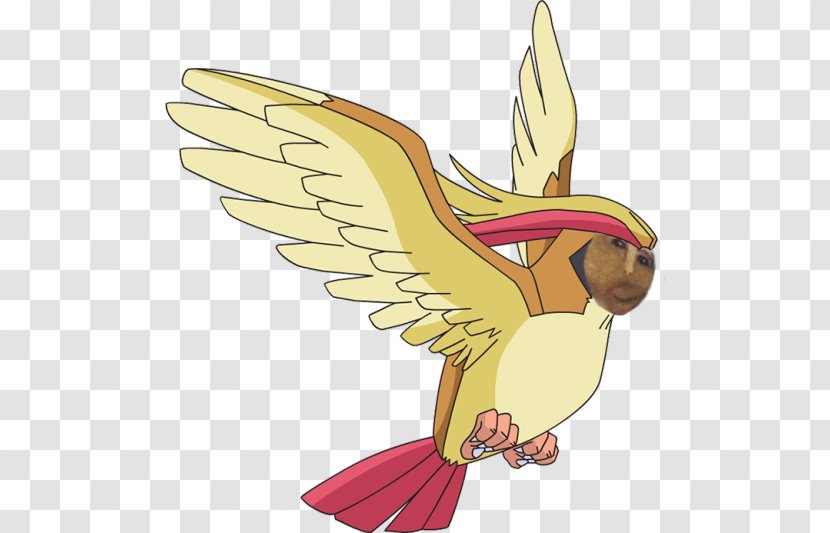 Pokémon GO Crystal Pidgeotto - Beak - Good Mythical Morning Transparent PNG