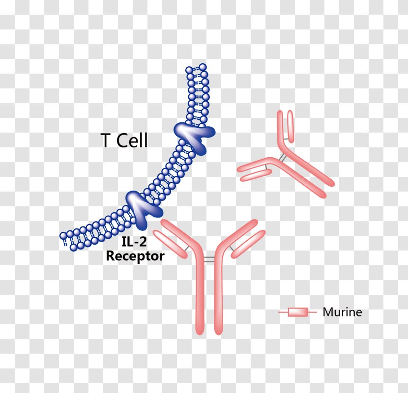 Cetuximab Rituximab Pertuzumab Vemurafenib Antibody - Cartoon - Flower Transparent PNG