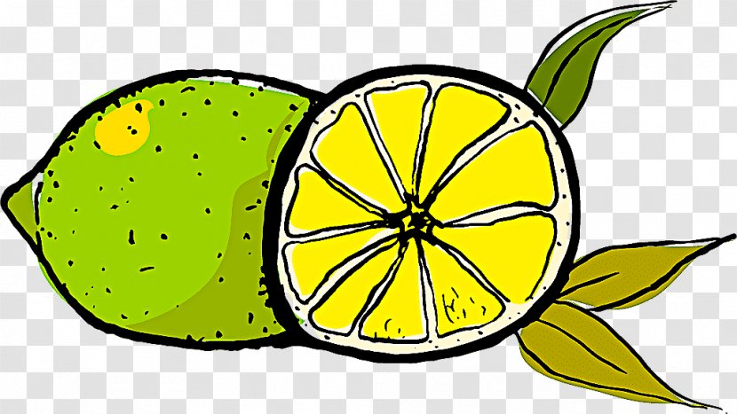 Citrus Yellow Lemon Leaf Clip Art - Grapefruit Lime Transparent PNG