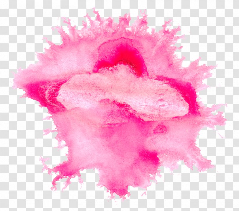 Watercolor Painting Pink - Paint Texture Photos Transparent PNG