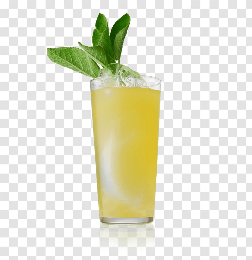 Juice Cocktail Garnish Mai Tai Fizzy Drinks - Beefeater Gin - Pomelo Tea Transparent PNG