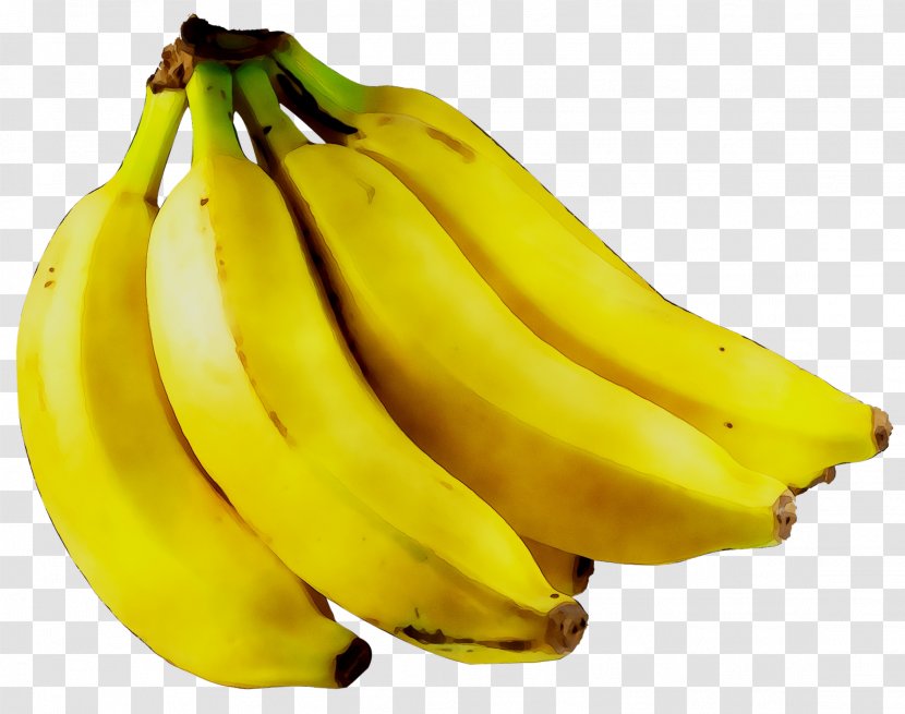 Banana Nutrient Food Fruit Eating - Family - Flowering Plant Transparent PNG
