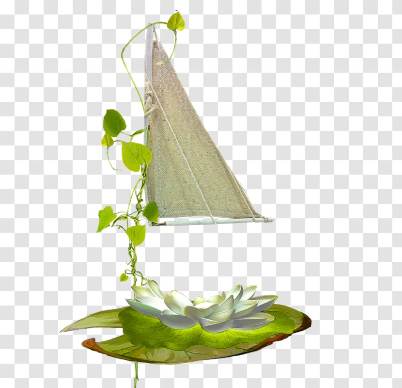 PlayStation Portable Aquatic Plants - Leaf - Playstation Transparent PNG