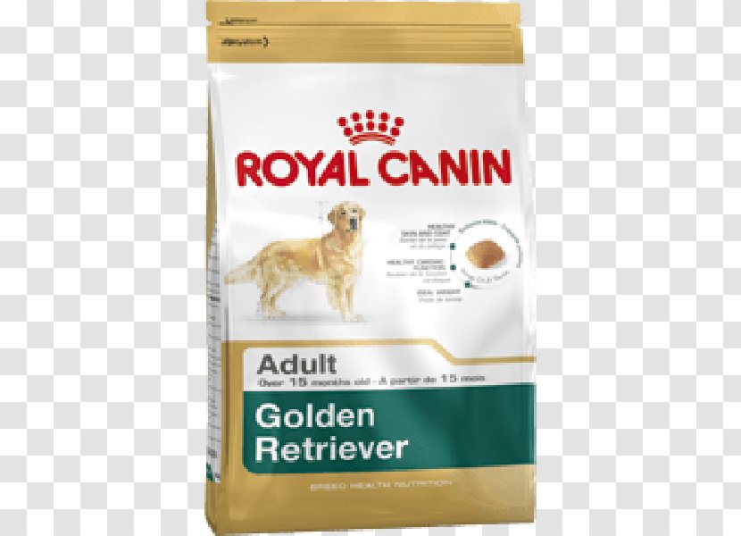 Chihuahua French Bulldog Puppy Golden Retriever - Dog Transparent PNG