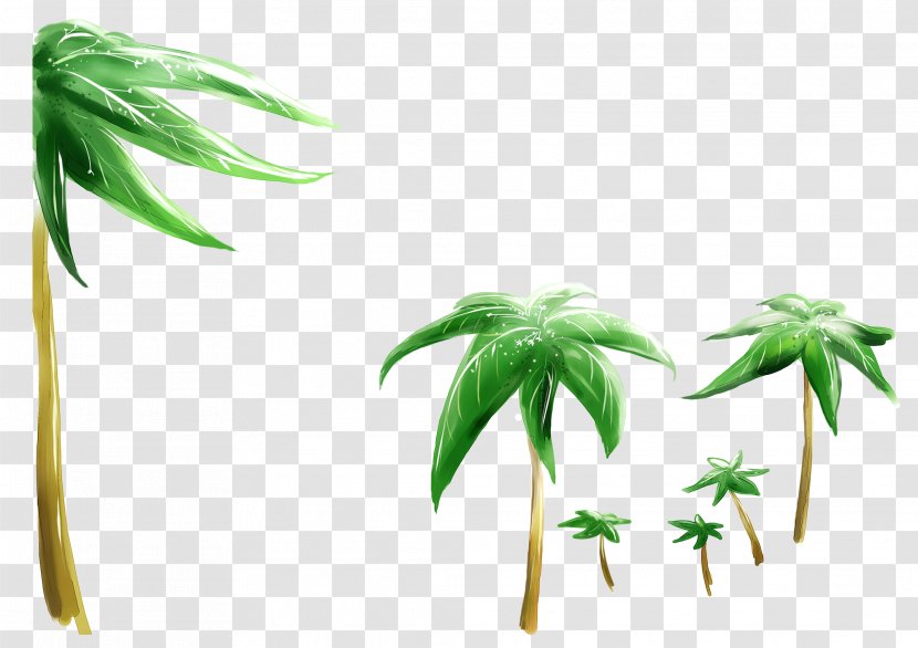 Ultra-high-definition Television 1080p Wallpaper - Tree - Great Hand-drawn Cartoon Fresh Coconut Transparent PNG