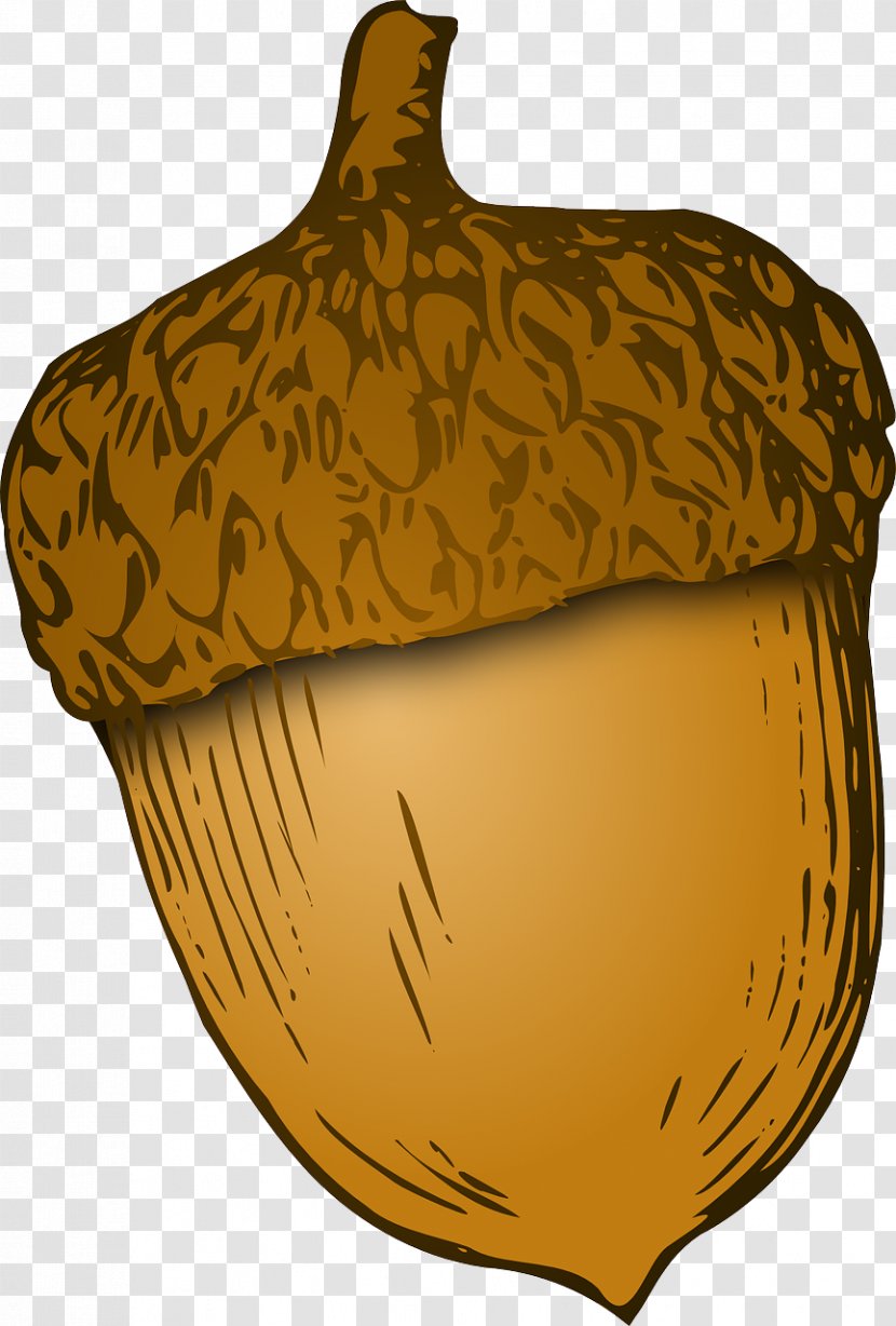 Acorn Clip Art - Oak Transparent PNG