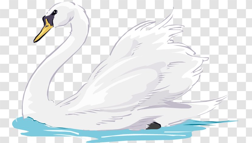Mute Swan Duck Animation Clip Art - Bird Transparent PNG