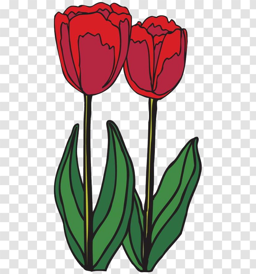 Tulip Ausmalbild Bulb Blume Plant Stem - Parent Pointer Tree - Red Flowers Transparent PNG