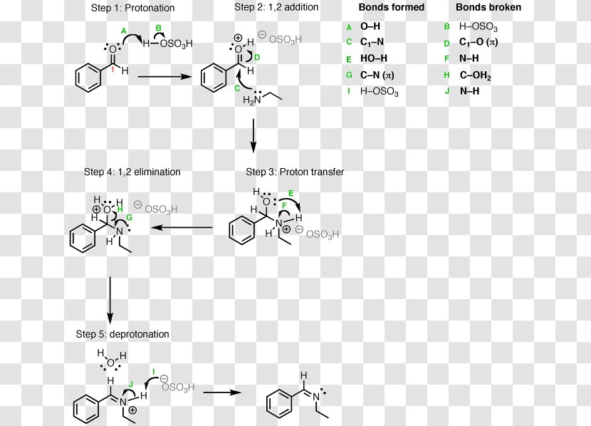 Reductive Amination Sodium Borohydride Imine Cyanoborohydride - Reducing Agent - Paper Transparent PNG