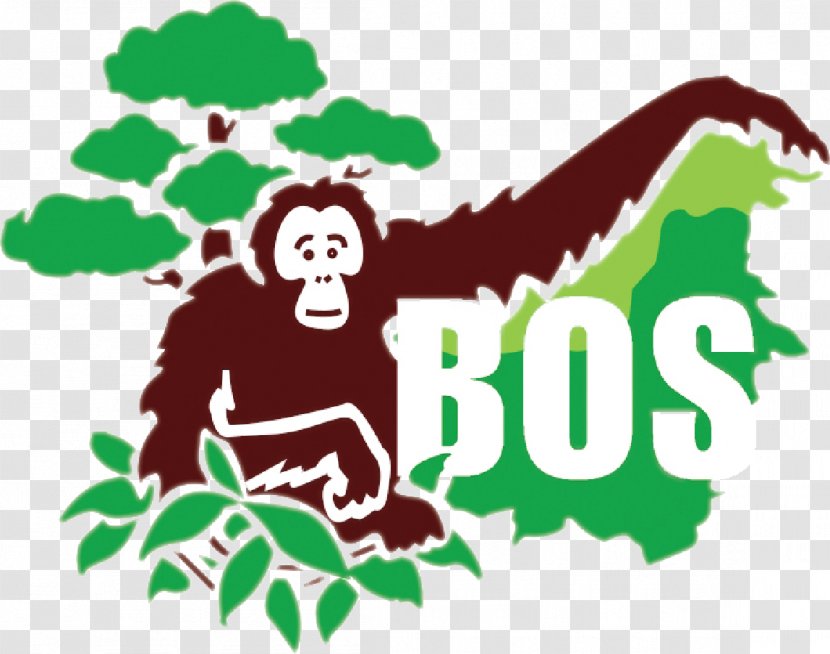 Borneo Orangutan Survival Bornean Chimpanzee Samboja Lestari - Tree - Orang Utan Transparent PNG