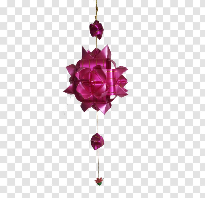 Garden Roses Cut Flowers Rosaceae - Petal - Lotus Lantern Transparent PNG