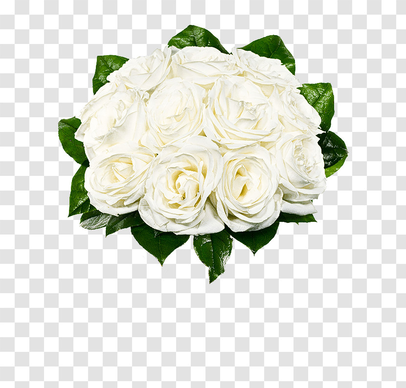 Floral Design Transparent PNG