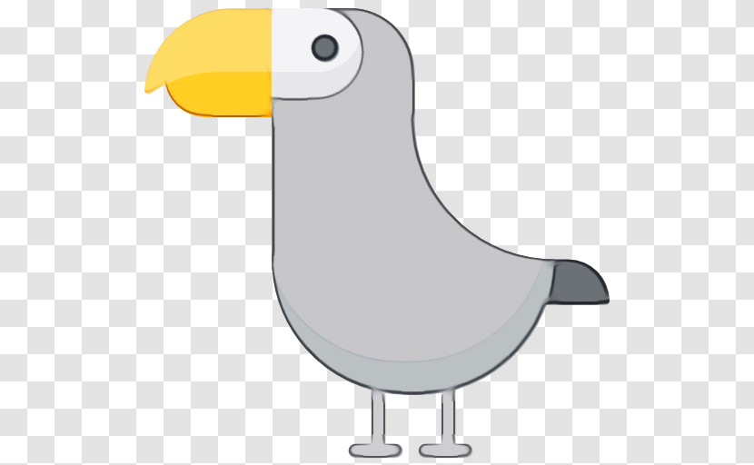 Birds Ducks Beak Water Bird Cartoon Transparent PNG